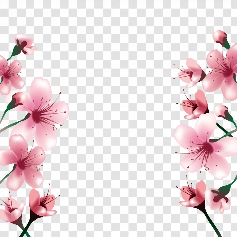 National Cherry Blossom Festival Paper - Floral Design - Blossoms Transparent PNG