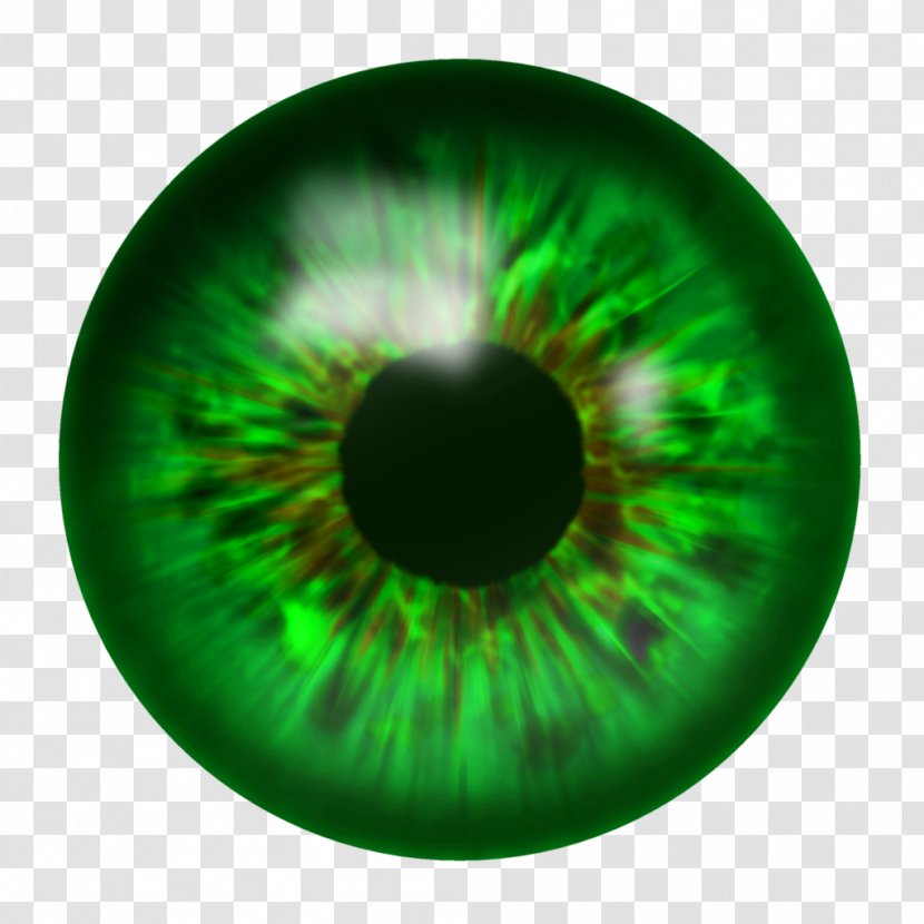 Eye Icon - Tree Transparent PNG
