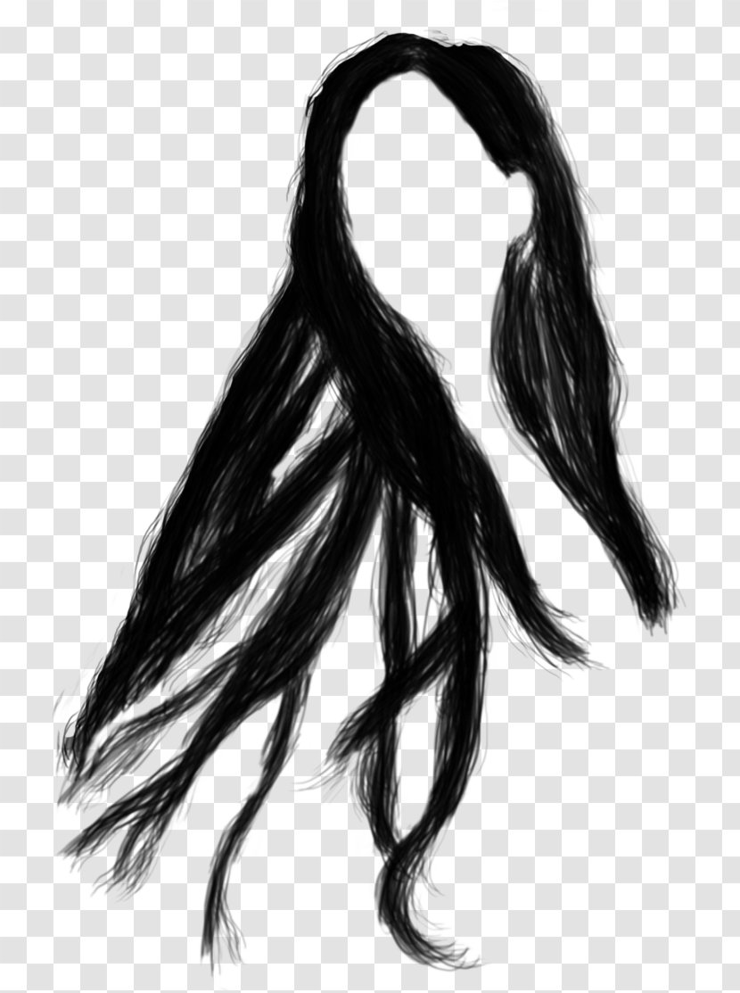Hair Coloring Drawing Human Color Black - Eyebrow - Long Transparent PNG