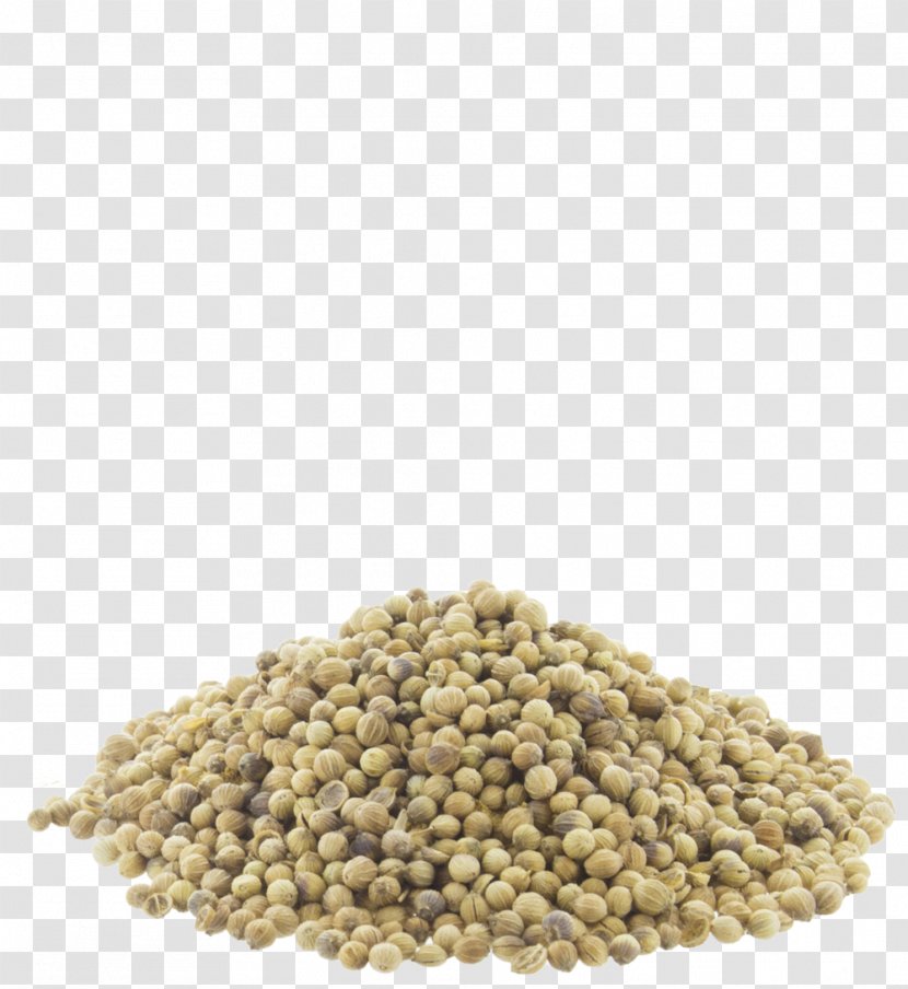 Coriander Seed Indian Cuisine Spice Food - Superfood Transparent PNG