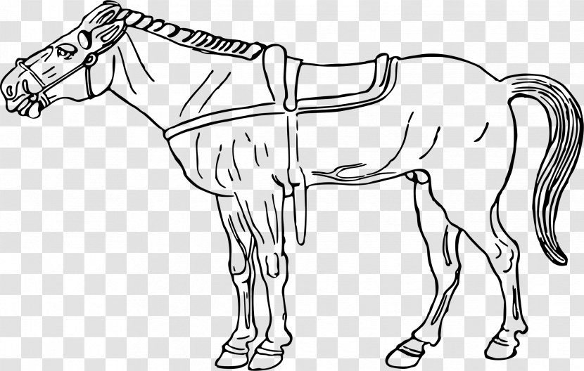 Horse Pony Drawing Clip Art Transparent PNG