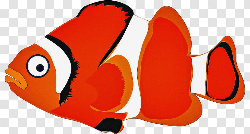 Anemone Fish Clownfish Pomacentridae Clip Art - Butterflyfish - Seafood Transparent PNG