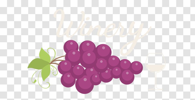 Grape Logo Auglis - Purple - Menu Icon Transparent PNG