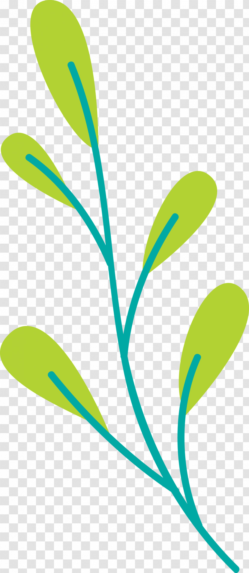 Plant Stem Branch Leaf Grasses Commodity Transparent PNG