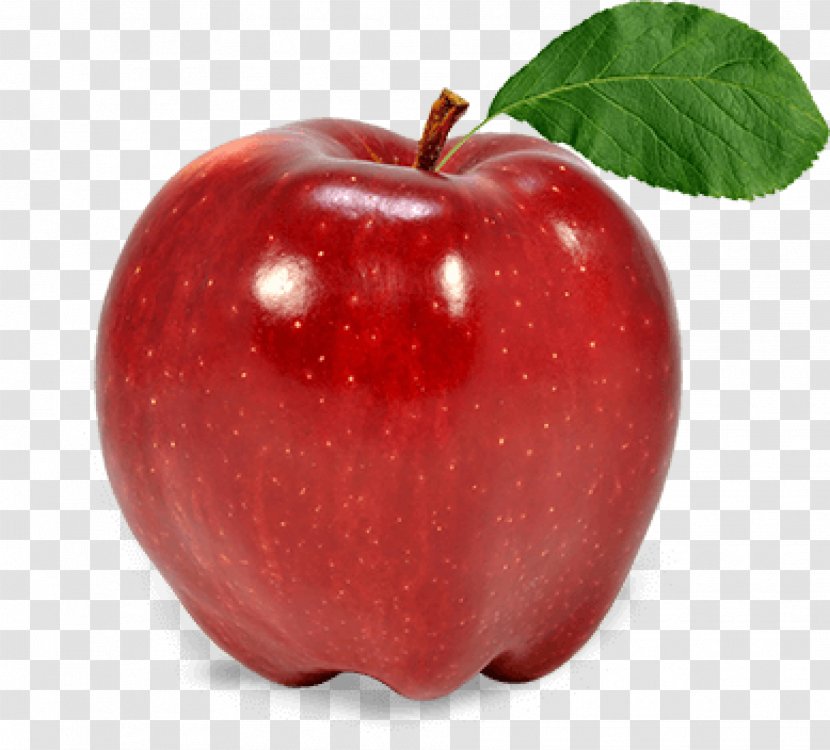 Apple Fruit - Mcintosh Transparent PNG