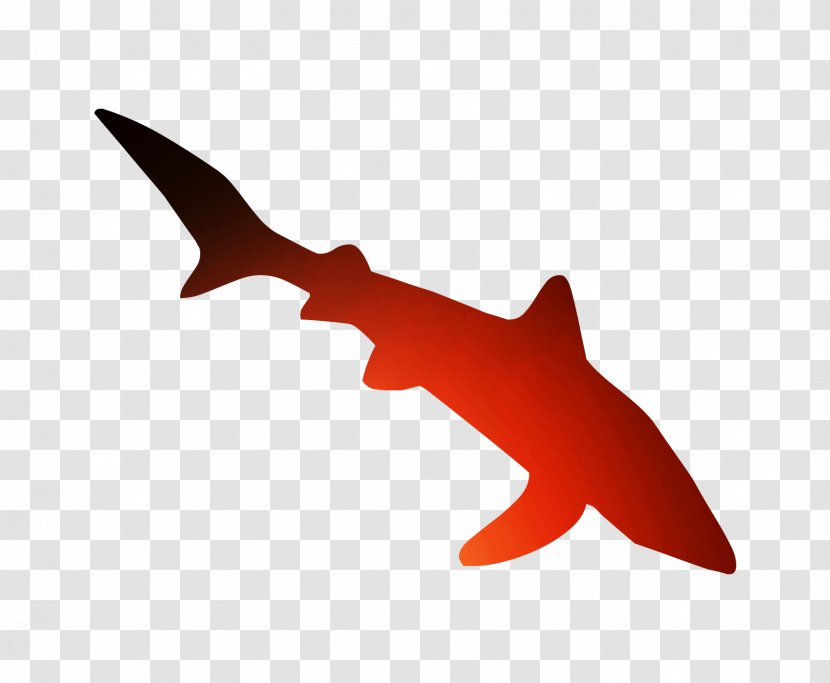Shark Font Marine Mammal - Fish - Hammerhead Transparent PNG