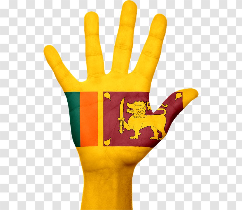 Flag Of Sri Lanka National Flags Asia Transparent PNG