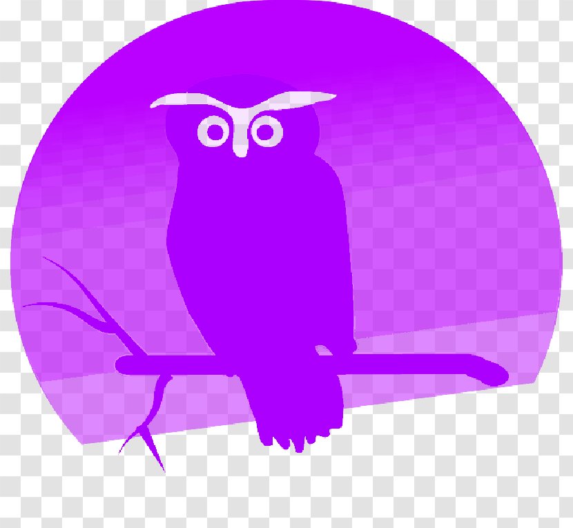 Owl Drawing Bird Clip Art Painting - Barn - Violet Transparent PNG