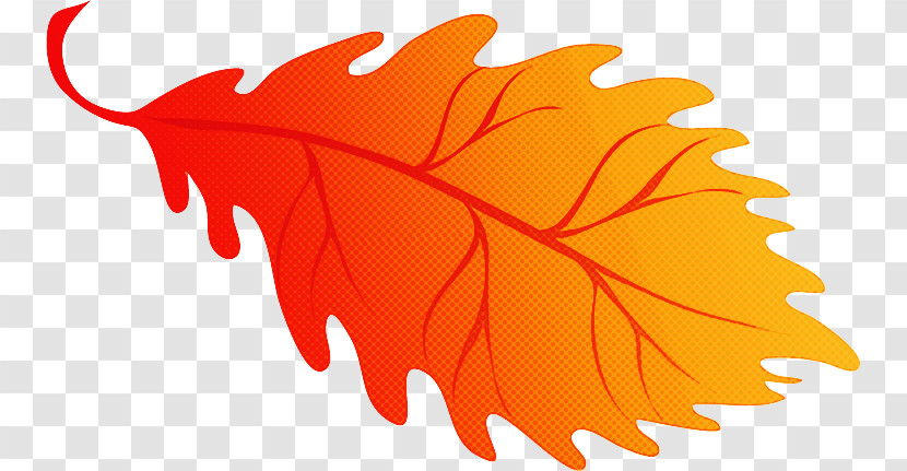 Maple Leaf Transparent PNG