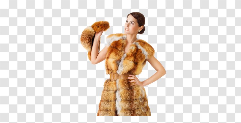Fur Clothing Stock Photography Royalty-free Coat - Royaltyfree - Women Draped Transparent PNG