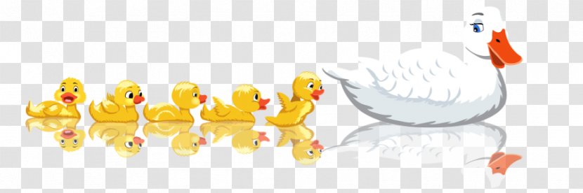 Baby Ducks Clip Art - Animal - Duck Transparent PNG