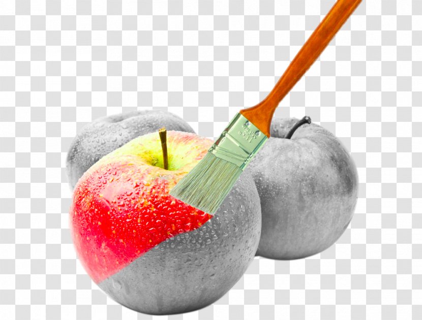 Creativity Creative Services Photography Art Advertising - Food - Apple Brush Transparent PNG