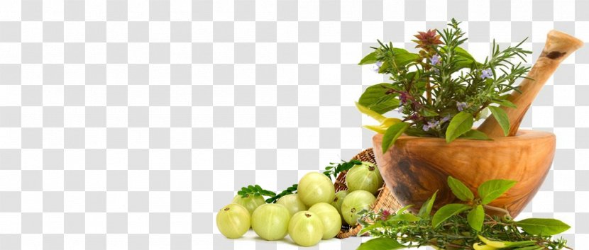 Ayurveda Herb Health Medicine Dietary Supplement - Superfood Transparent PNG