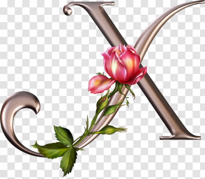 Floral Design Letter Alphabet Rose Flower Transparent PNG