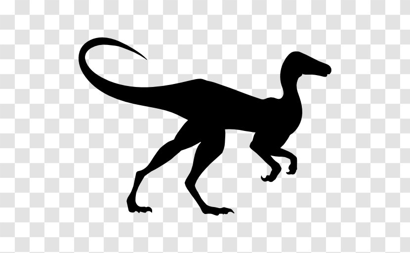 Compsognathus Brachiosaurus Dinosaur Gigantoraptor Diplodocus - Velociraptor - Vector Transparent PNG