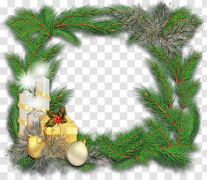 White Christmas Tree - Spruce - Cypress Family Vascular Plant Transparent PNG