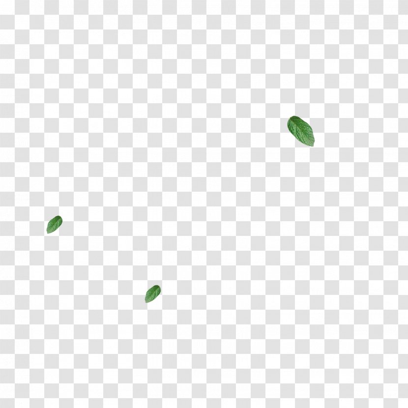 Angle Pattern - Texture - Leaves Transparent PNG
