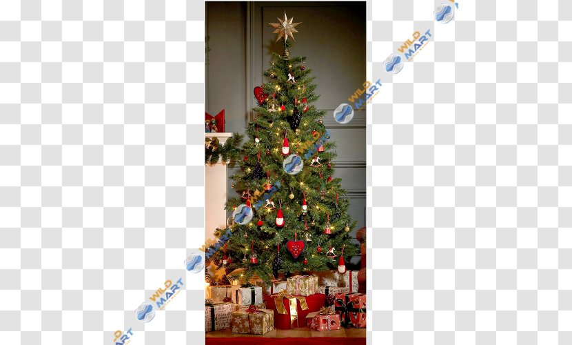 Christmas Tree Ornament Spruce Fir Pine Transparent PNG