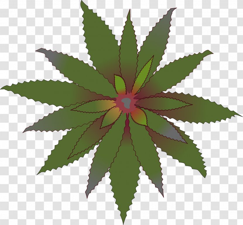 Clip Art - Flower - Cannabis Transparent PNG