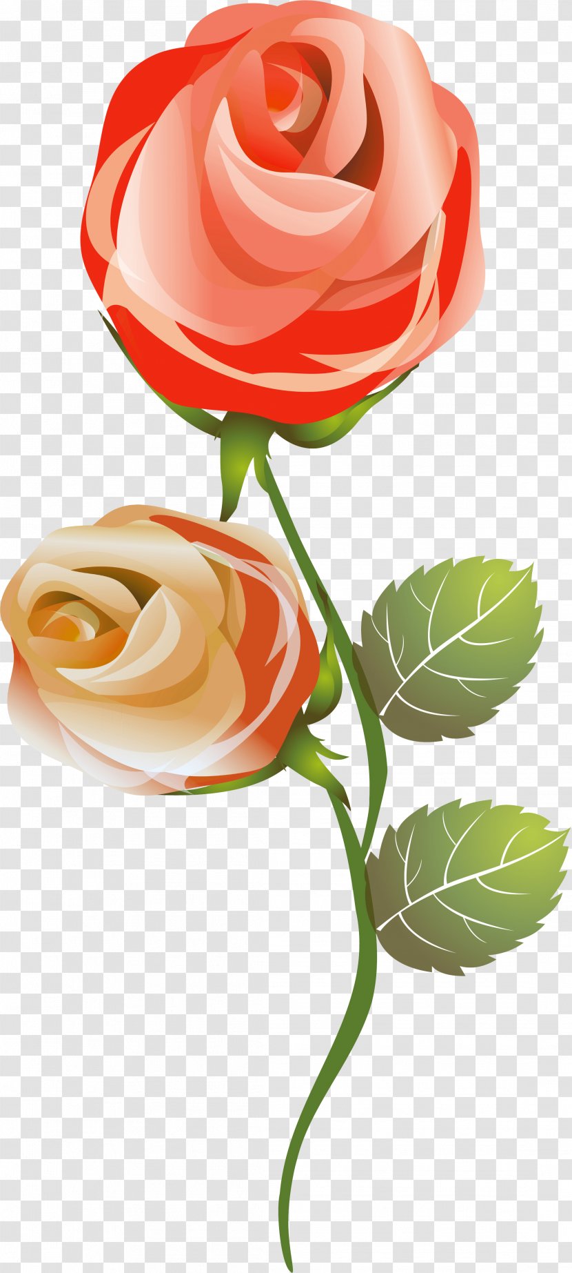 Garden Roses Love Cut Flowers - Vase - Rose Transparent PNG