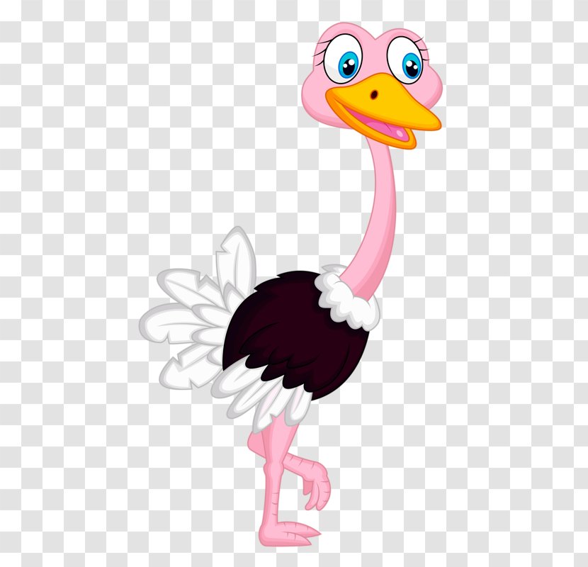 Common Ostrich Bird Cartoon Illustration - Vertebrate Transparent PNG