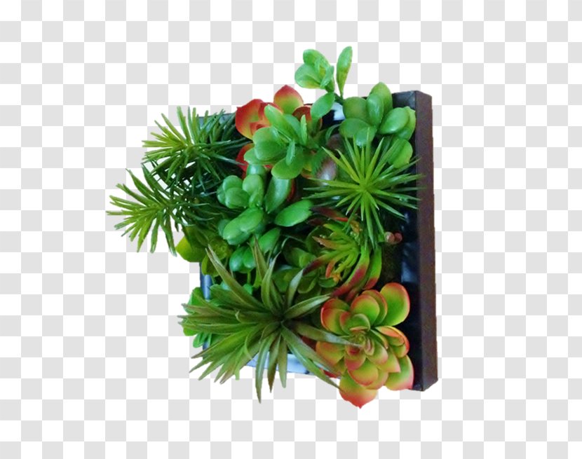 Green Wall Garden Flowerpot Succulent Plant - Suculent Transparent PNG