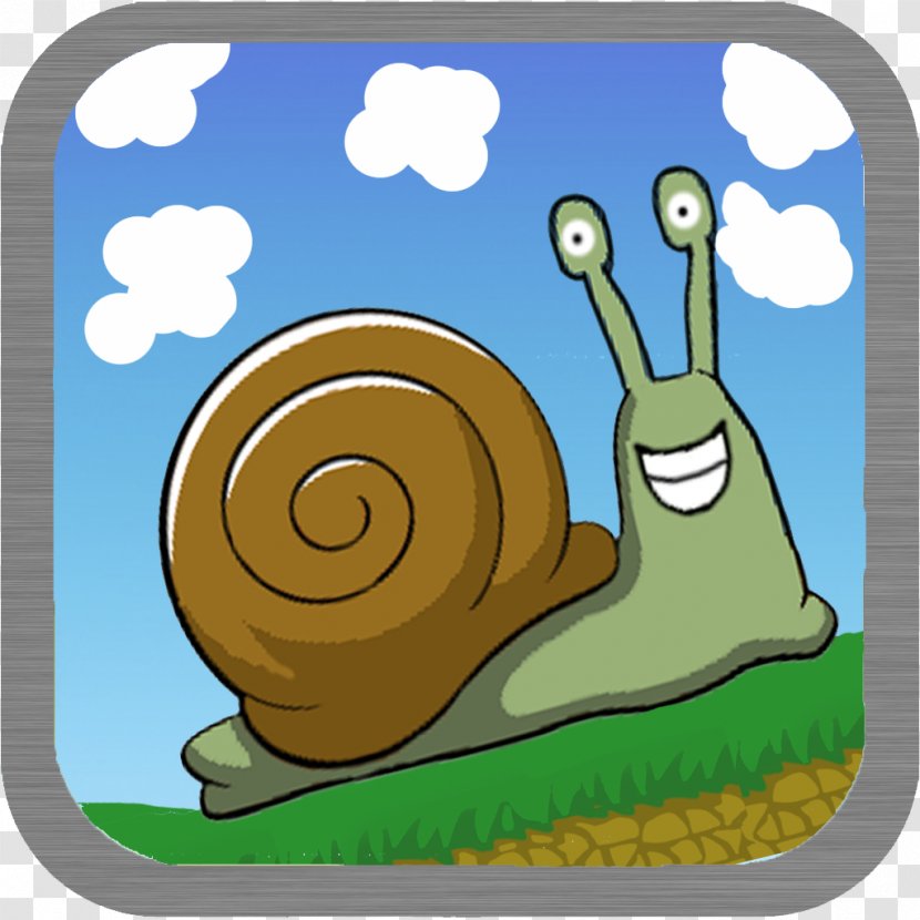 Snail Gastropods Clip Art - Grass Transparent PNG