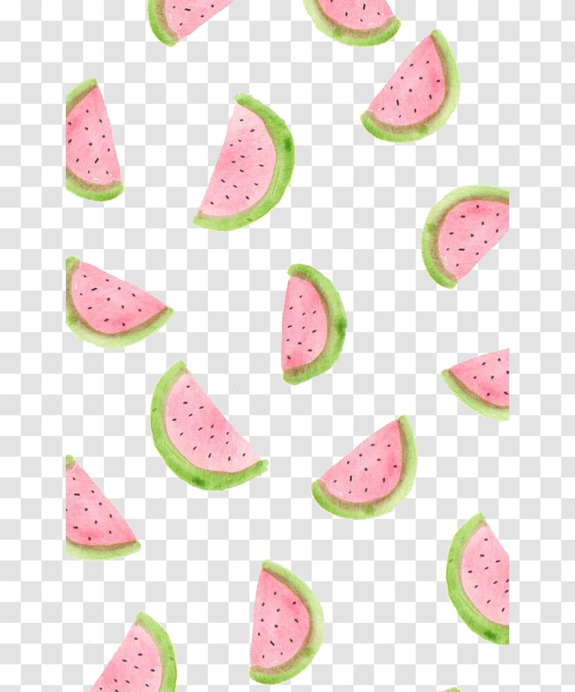 IPhone 6 Plus 4 5 Wallpaper - Citrullus - Watermelon Hand-painted Background Transparent PNG