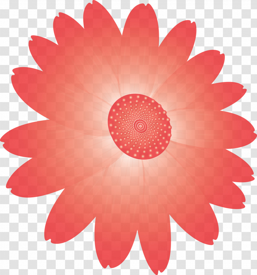 Marguerite Flower Spring Flower Transparent PNG