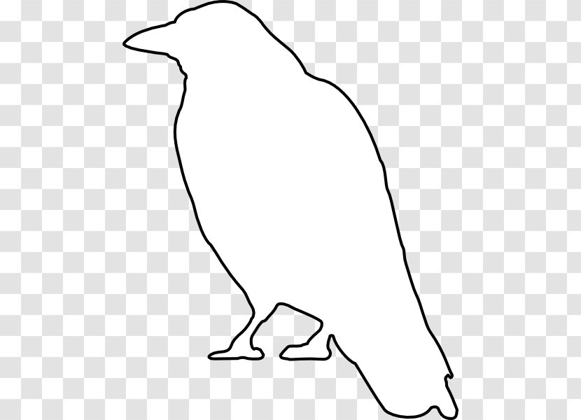 Common Raven Crow Clip Art - Fauna Transparent PNG