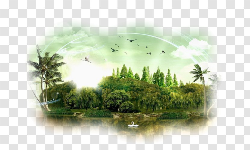 Desktop Wallpaper Image Aquafur Photograph Mythical Conspiracy - Mobile Phones - Trippy Nature Backgrounds Forest Transparent PNG