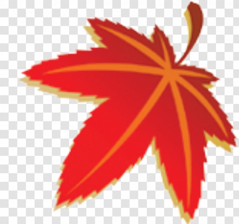 Maple Leaf Autumn Illustration - Cartoon - Leaves Transparent PNG