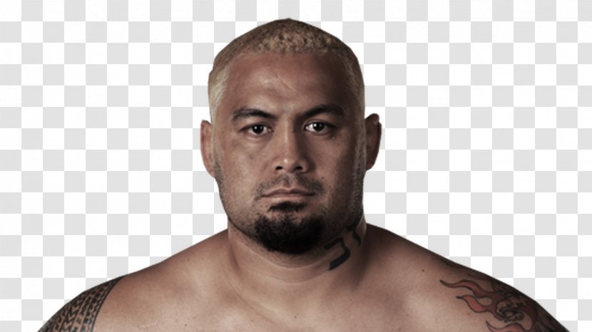 Mark Hunt UFC Fight Night 52: Vs. Nelson Mixed Martial Arts Boxing Heavyweight - Roy - Artist Transparent PNG