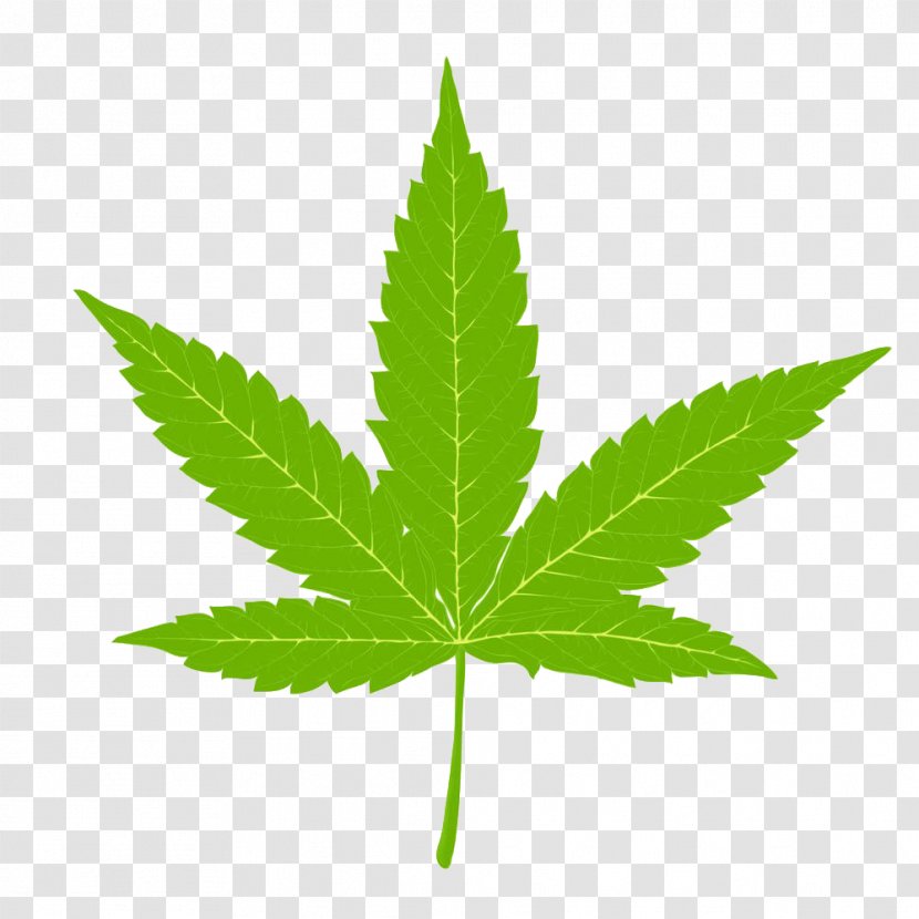 Cannabis Hemp Marijuana Clip Art - Indian Leaves Illustrations Transparent PNG