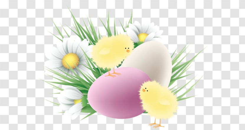 Chicken Easter Egg Clip Art - Picture Frames Transparent PNG