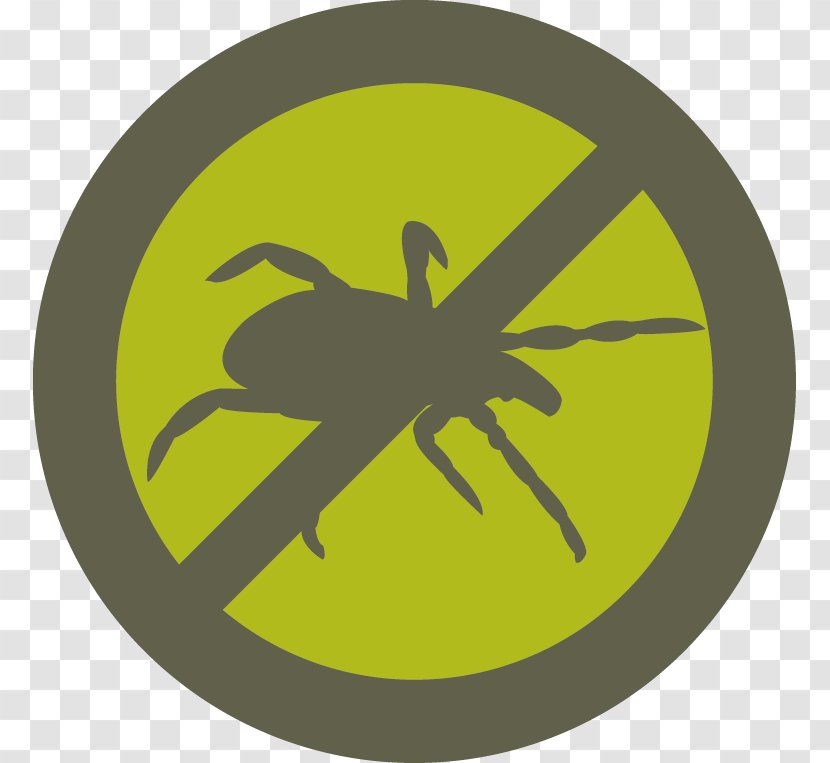 Deer Tick Lyme Disease Centers For Control And Prevention Transparent PNG