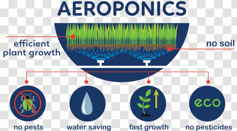 Aeroponics Agriculture Pest Hydroponics Soil - Brand - Transplant Transparent PNG