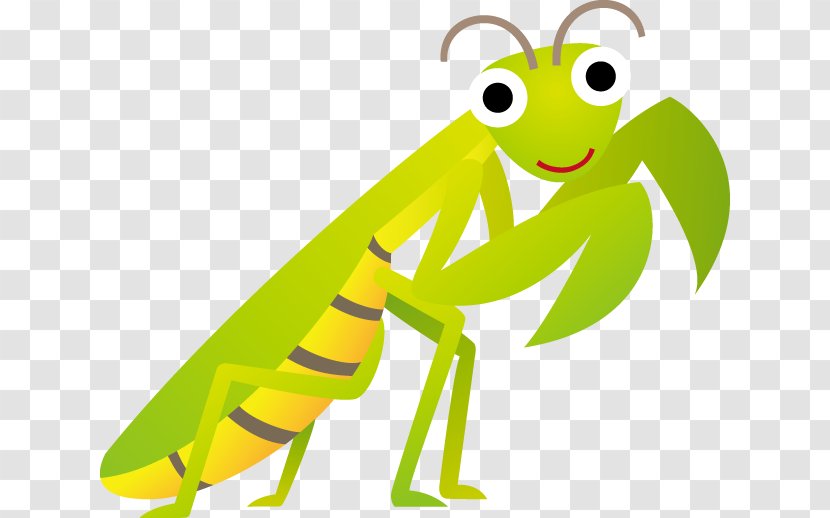 Insect Cartoon Clip Art Transparent PNG