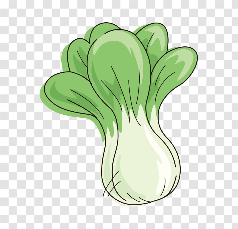 Chinese Cabbage Cartoon Vegetable - Drawing - Cabbage,vegetables Transparent PNG