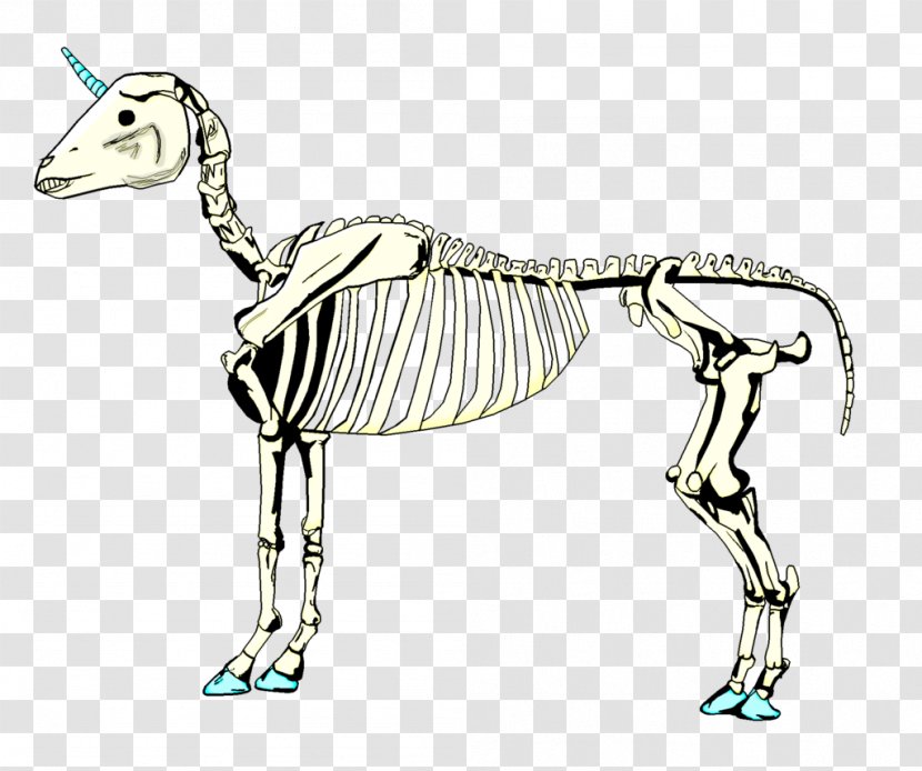 Horse Dog Mammal Canidae Carnivora - Hand Drawn Unicorn Transparent PNG