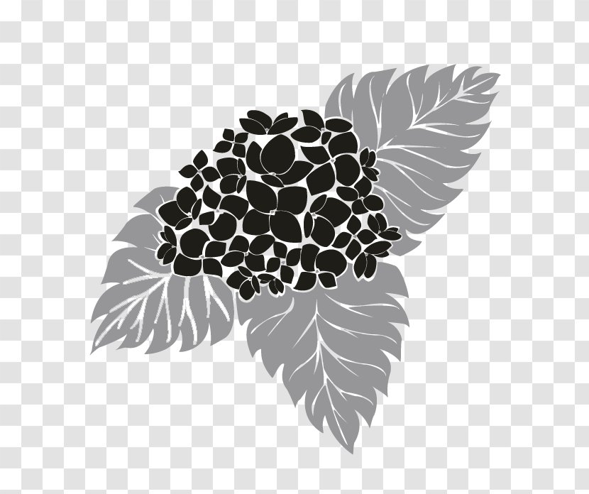Black And White Visual Arts Leaf Tree Plant - Organism - Hydrangea Transparent PNG