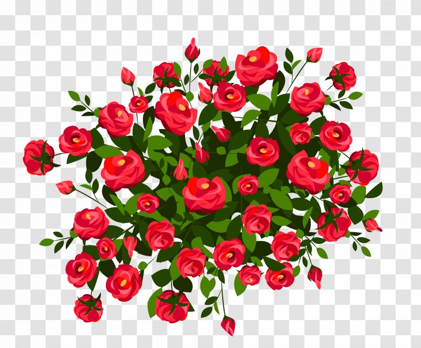 Rose Shrub Pink Clip Art - Red Bush Clipart Image Transparent PNG