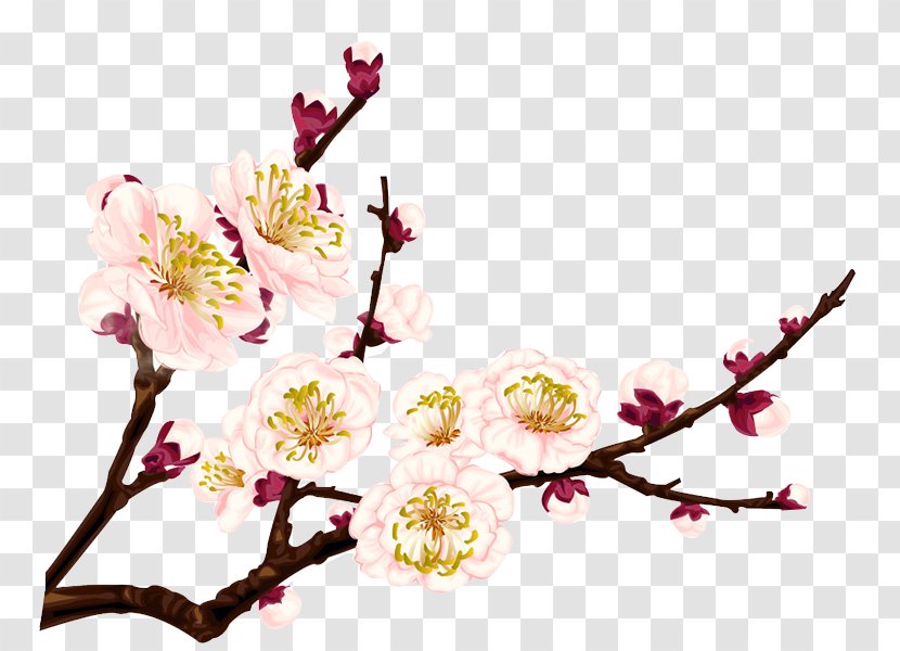 Plum Blossom Flower - Pink Creative Transparent PNG