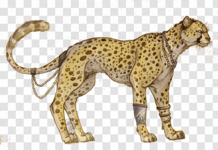 Cheetah Felidae Tiger Cat Lion - Picture Transparent PNG