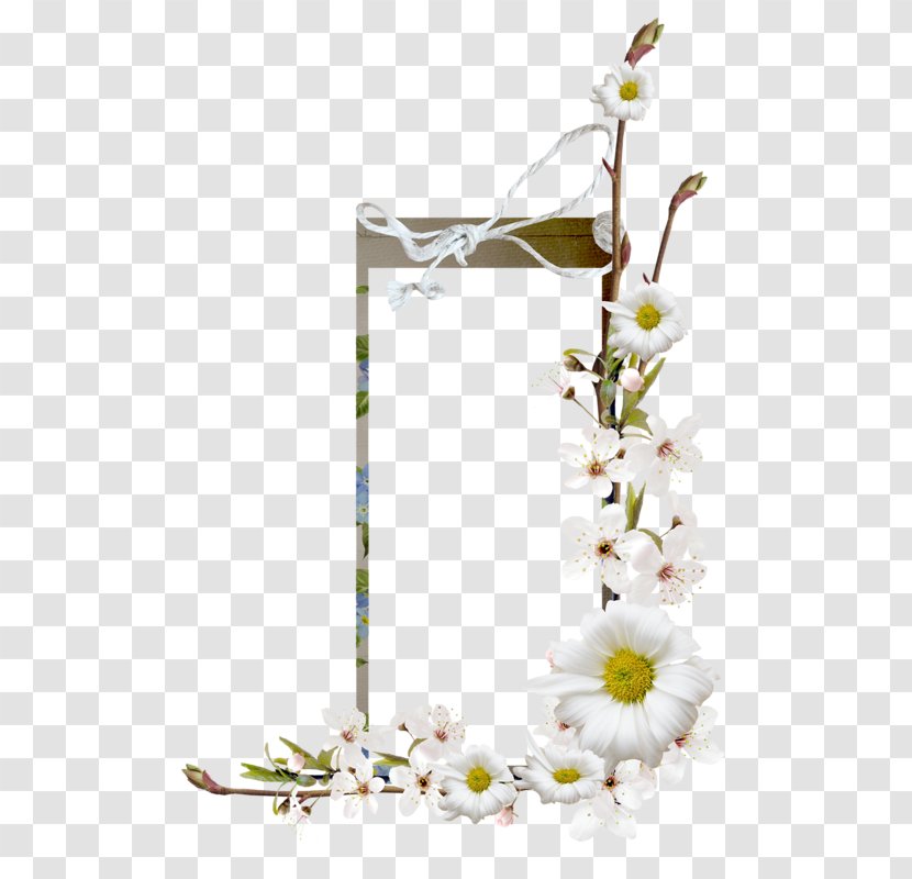 Floral Design Flower Adobe Photoshop - Plants - Camomile Transparent PNG