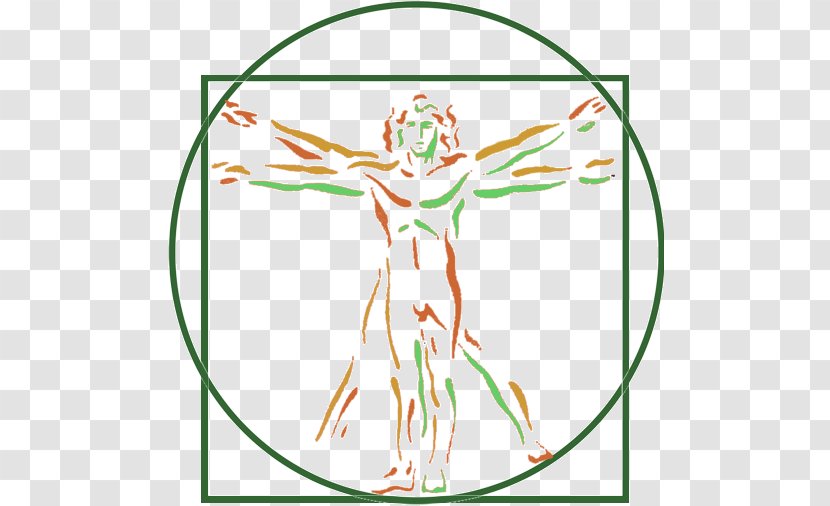 Vitruvian Man Royalty-free Art - Google Sites Transparent PNG