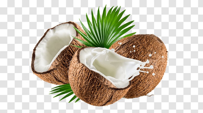 Coconut Milk Powder Organic Food Water - Flowerpot Transparent PNG
