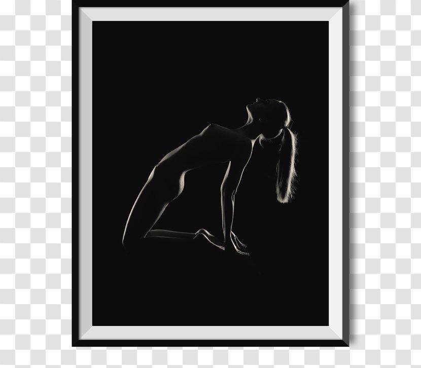 Autodromo Nazionale Monza Black And White Paper Silhouette Formula 1 - Drawing - Adipose Cell Transparent PNG