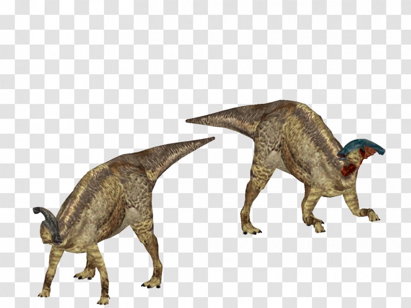 Velociraptor Tyrannosaurus Fauna Animal Wildlife - Organism - Cryolophosaurus Transparent PNG
