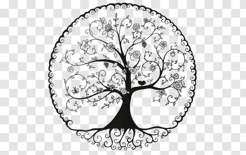 Tree Of Life Pine Drawing Symbol - Root Transparent PNG